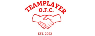 Banner Teamplayer