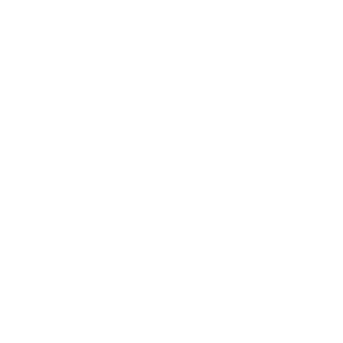 NanoRepro AG NanoRepro AG