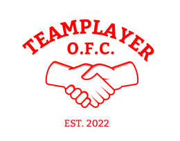 Teamplayer