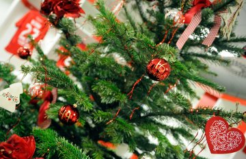 Weihnachtsbaum Weihnachtsbaum