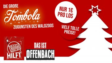 OFC - Hilft OFC - Hilft